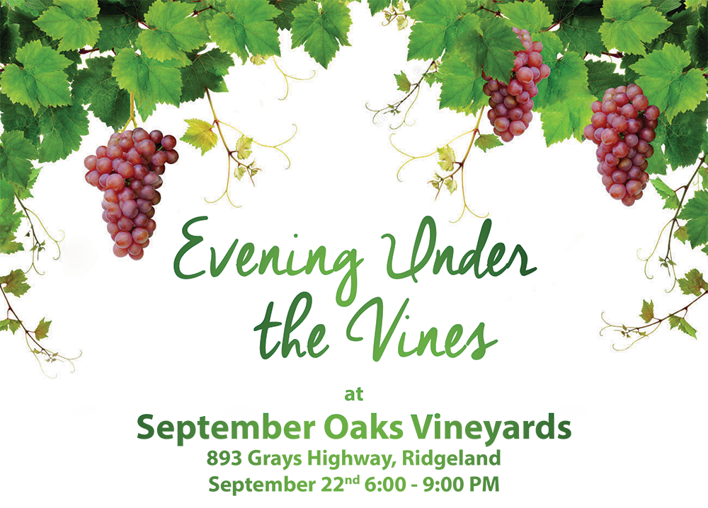 Evening Under the Vines 2016-3